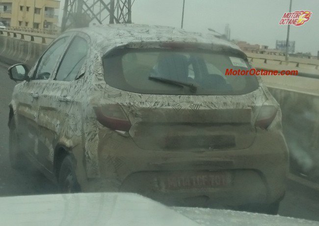 Tata Kite Rear Spotted