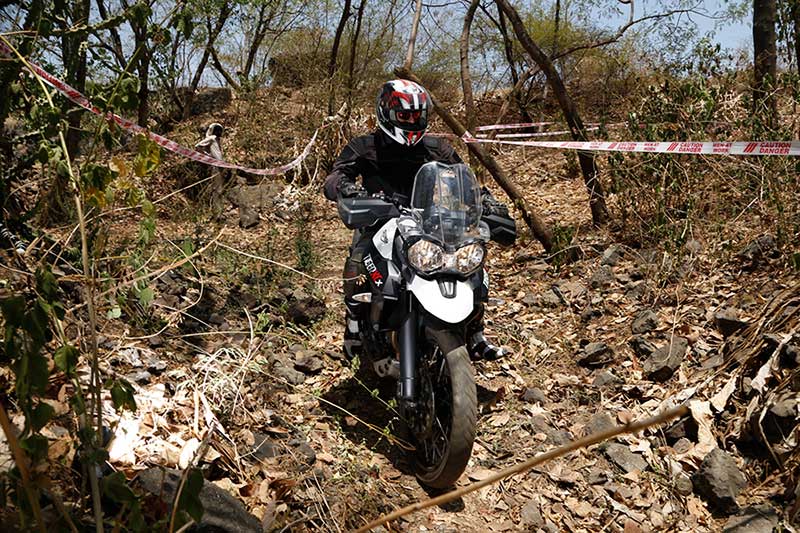 Triumph Tiger Training Academy 1