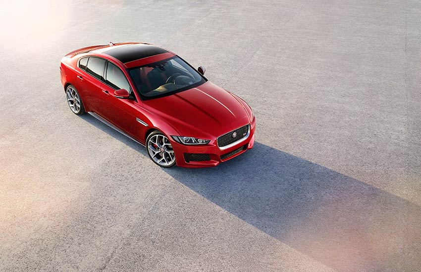 Jaguar Ready to Rule