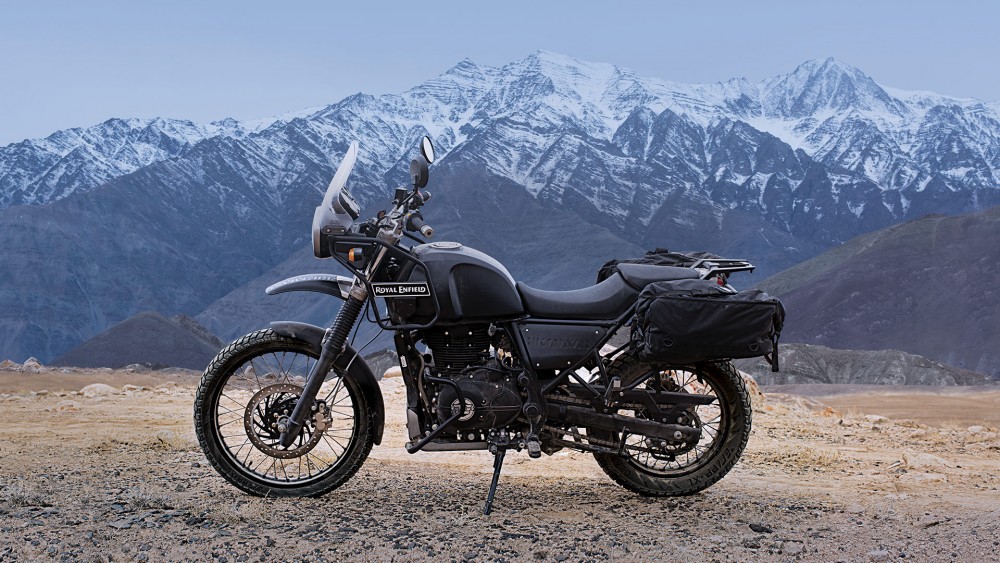 Himalayan