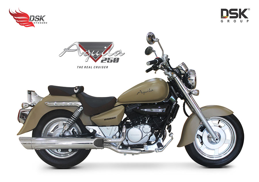2017 DSK Aquila 250 Gold Color