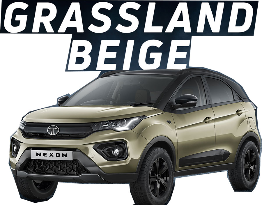2022 Tata Nexon Beige Color Option. New 2022 Tata Nexon Beige Color - Grassland Beige