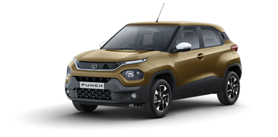 2023 Tata Punch Bronze Color (Meteor Bronze)