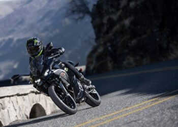 2024 Kawasaki Ninja 500 Motorcycle Photo
