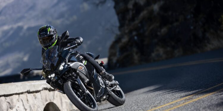 2024 Kawasaki Ninja 500 Motorcycle Photo