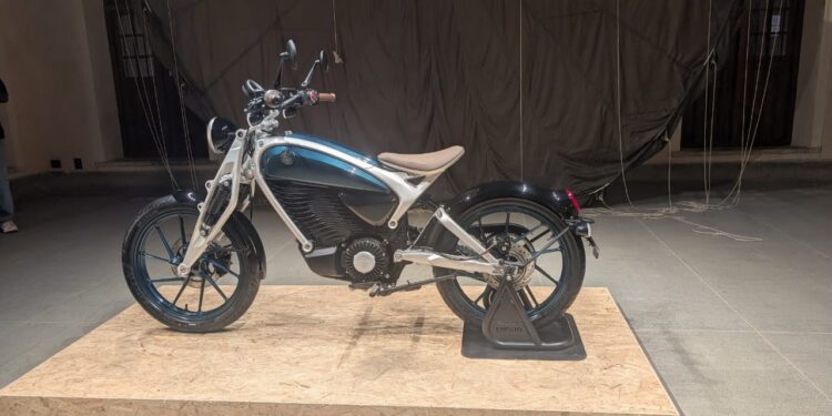 Flying Flea C6 Bengaluru Display First Ride