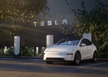 Tesla Model Y New Delhi