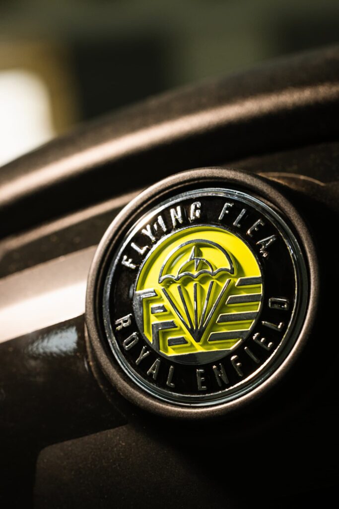 Flying Flee C6 Logo